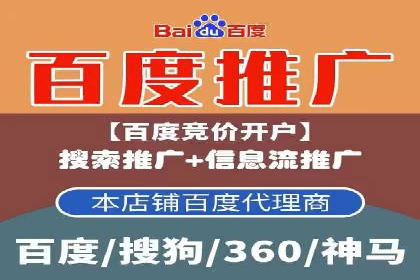 SEM搜索引擎优化成功案例，揭示优化策略与技巧
